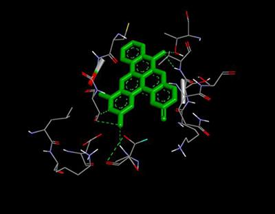 Angular Phenozaxine Ethers as Potent Multi-microbial Targets Inhibitors: Design, Synthesis, and Molecular Docking Studies